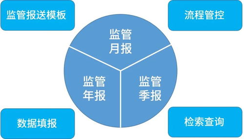 盛邦安全发布金融行业信息科技非现场监管报表填报系统 rayport