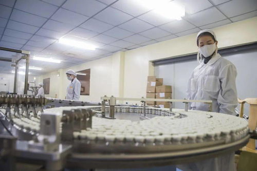 沙坪坝 智能产业规模突破1500亿元