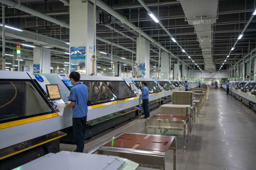 退税减税红利落地，推动广东经济回升向好，信息科技产业受益显著