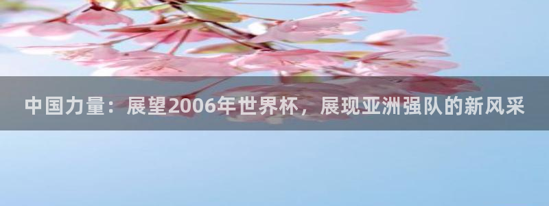 2026年世界杯:中国力量:展望2006年世界杯,展现亚洲强队的新风采