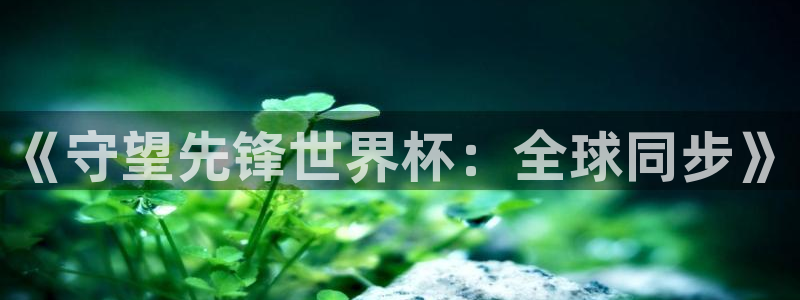 世界杯足球2026:《守望先锋世界杯:全球同步》