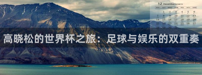 亚洲杯足球:高晓松的世界杯之旅:足球与娱乐的双重奏