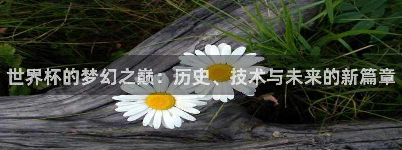 世界杯欧洲区预选赛:世界杯的梦幻之巅:历史、技术与未来的新篇章