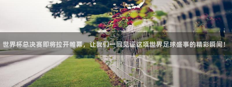 2026 世界杯:世界杯总决赛即将拉开帷幕,让我们一同见证这项世界足球盛事的精彩瞬间!