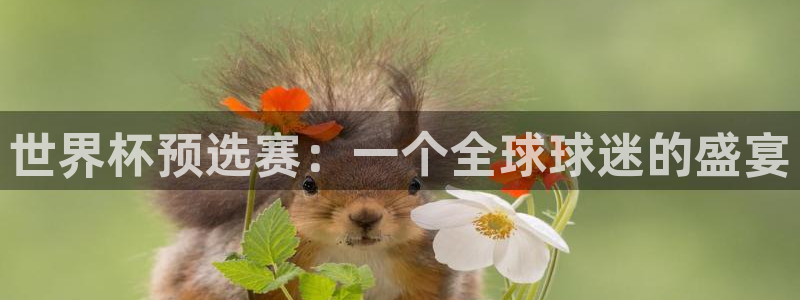 世俱杯直播:世界杯预选赛:一个全球球迷的盛宴
