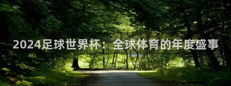世界杯比赛时间:2024足球世界杯:全球体育的年度盛事