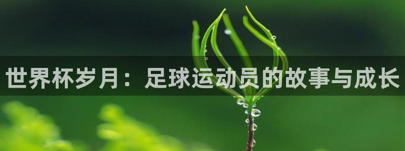 世界杯预选赛赛程时间表:世界杯岁月:足球运动员的故事与成长